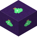 Potion